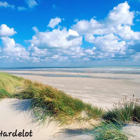 Entre Terres Et - Samer